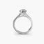 Diamond engagement ring with side diamonds on the shank in the white gold a white background