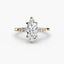 Solitaire with Micro Pave Shoulder Accents