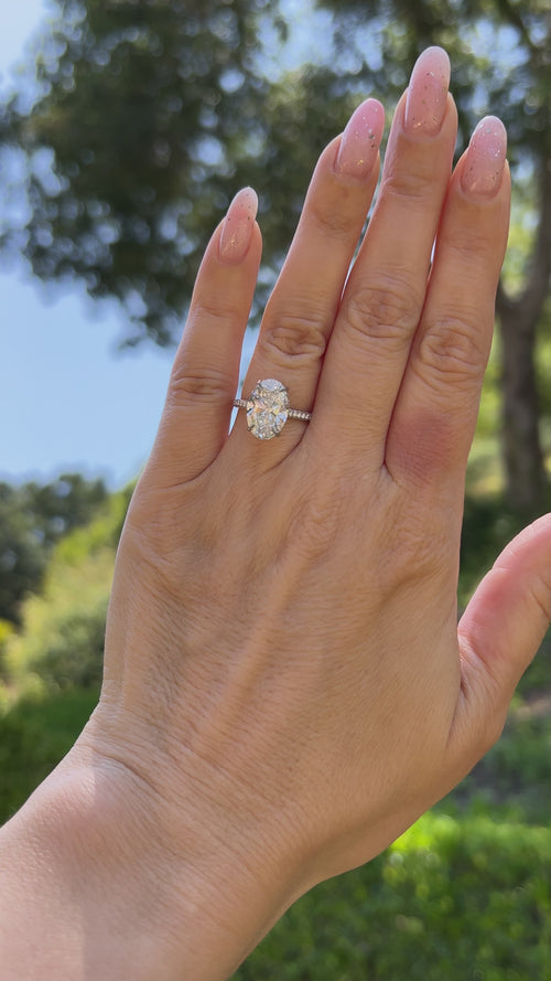 Eagle's Embrace - 3.70ct Lab Grown Oval Diamond Engagement Ring