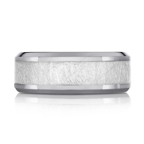 The Ironveil - Tantalum Ring with Meteorite Inlay